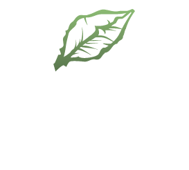 Avilay Media